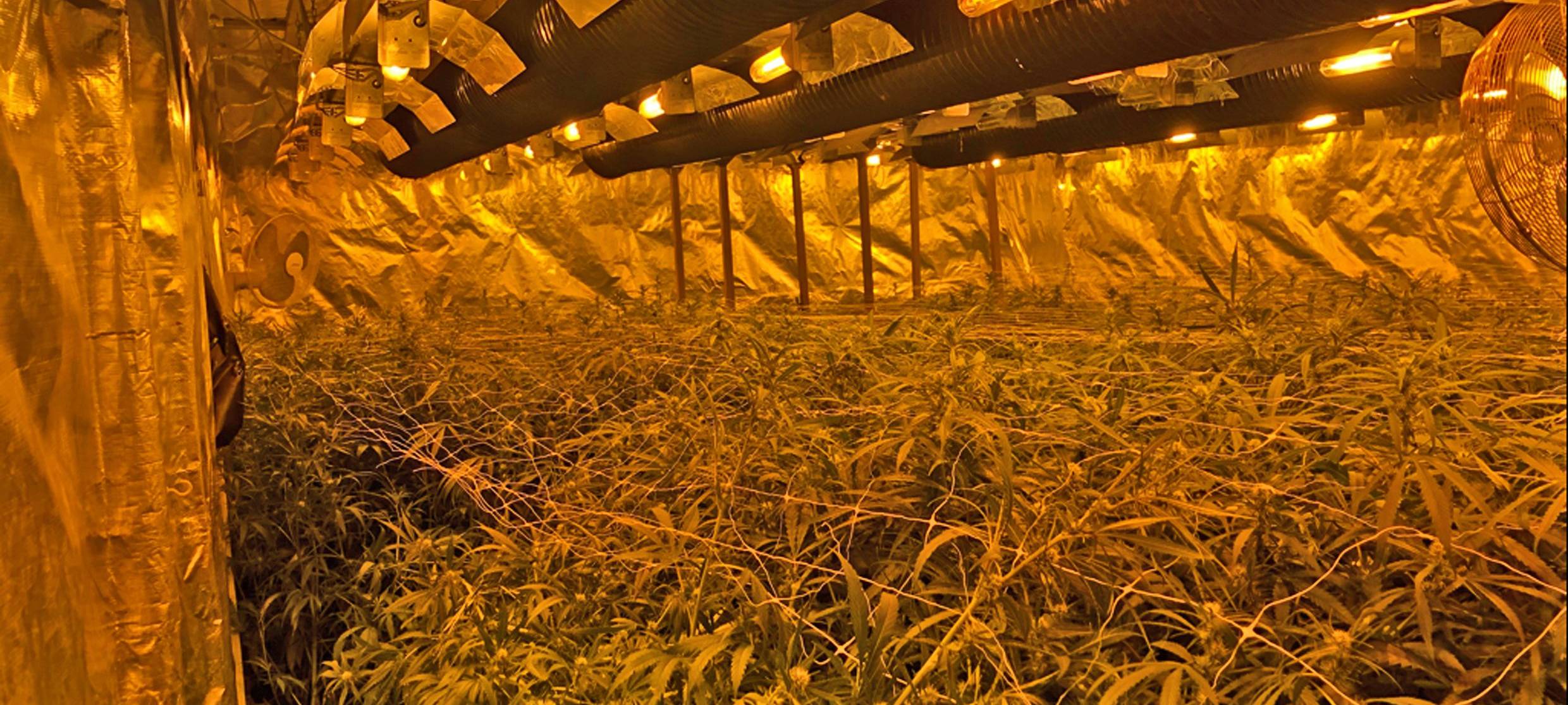 Mann vor Gericht wegen Drogenplantage in Remscheid