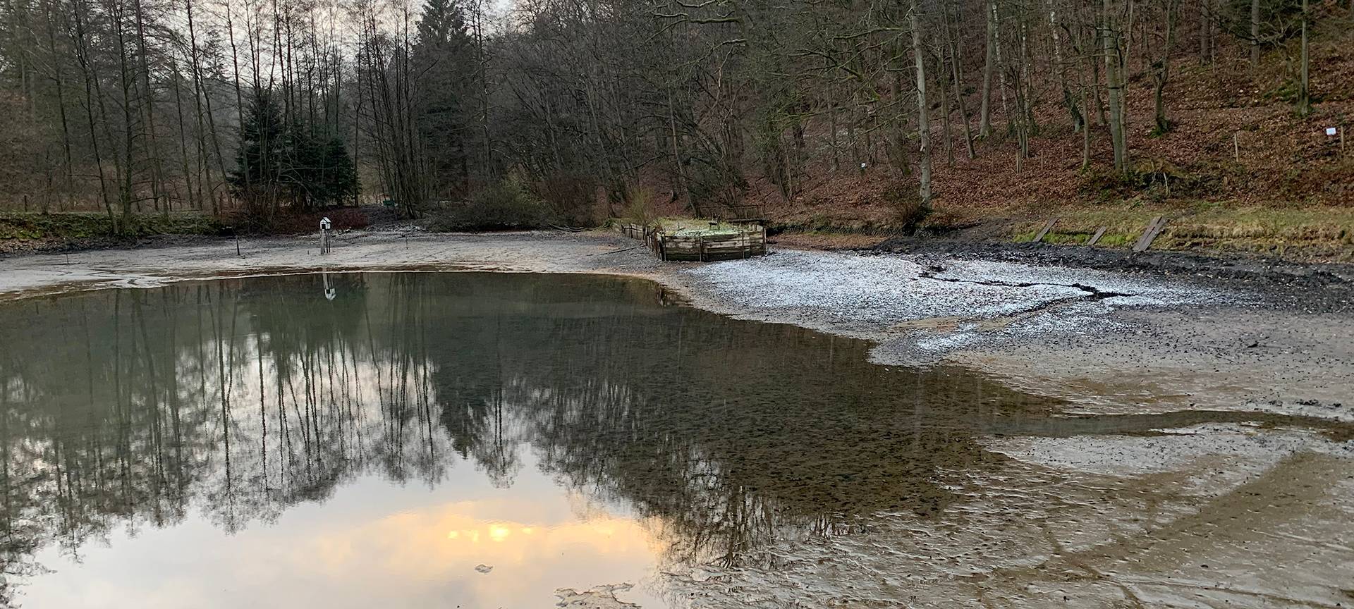 Arbeiten am Löwenteich gehen weiter