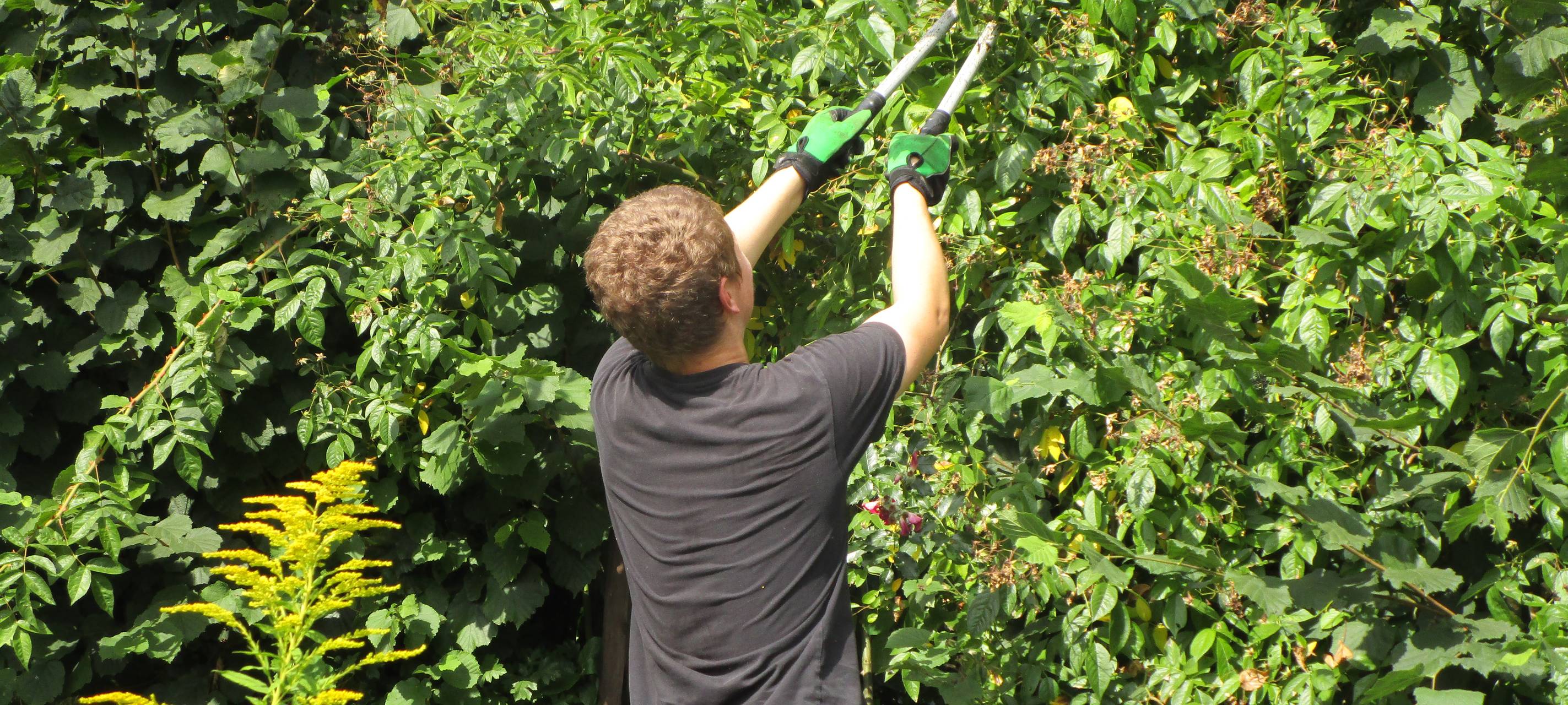 Naturschule Grund in Remscheid sucht Freiwillige