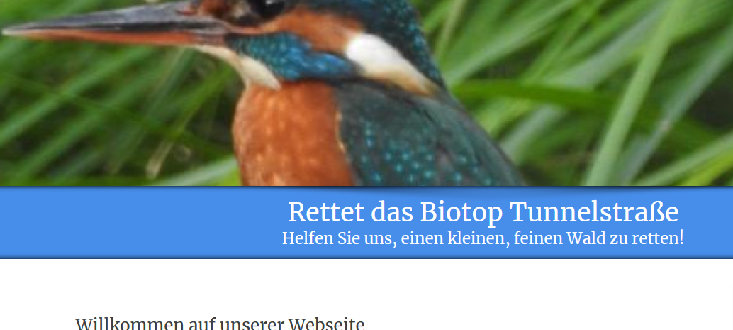 Tunnelstraße: Bürgerinitiative setzt sich weiter gegen Baumfällungen ein
