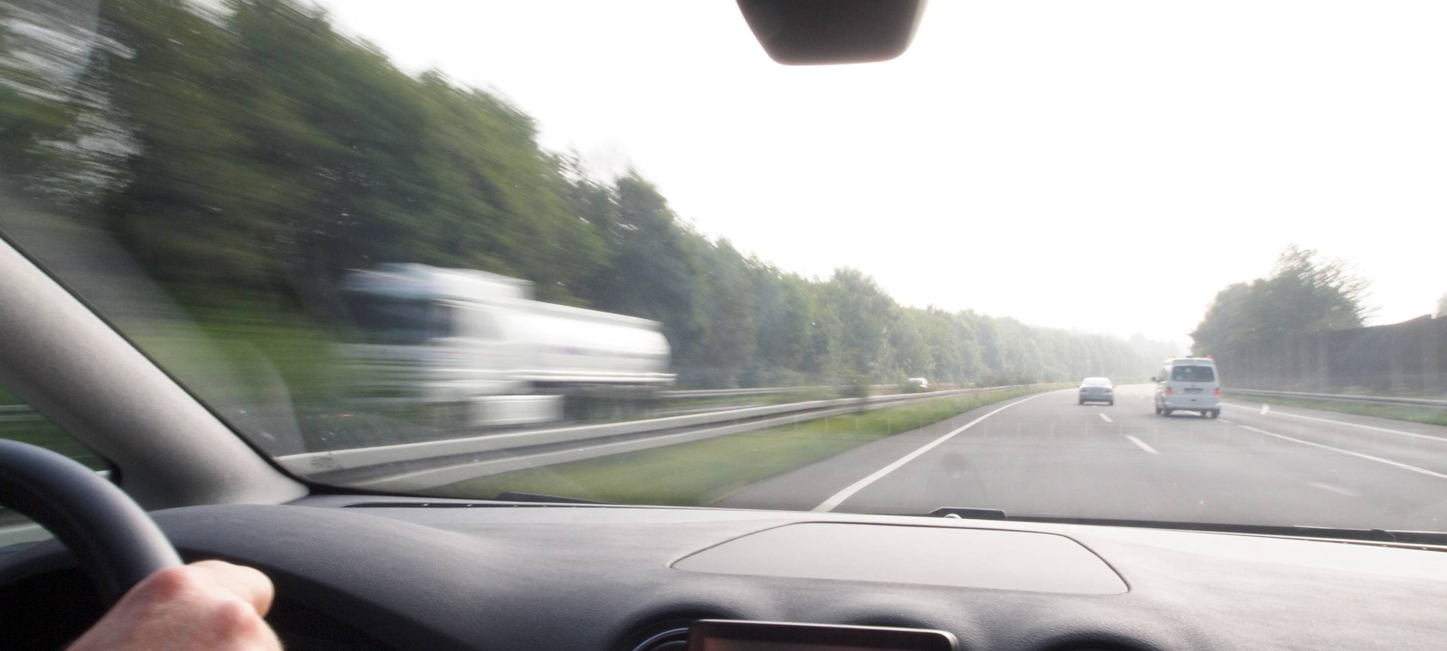 Wildunfallgefahr im RSG-Land steigt