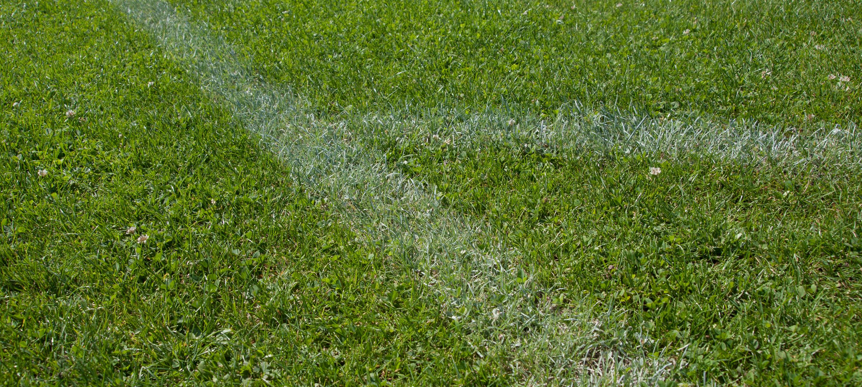 VFB Solingen verliert gegen Kapellen