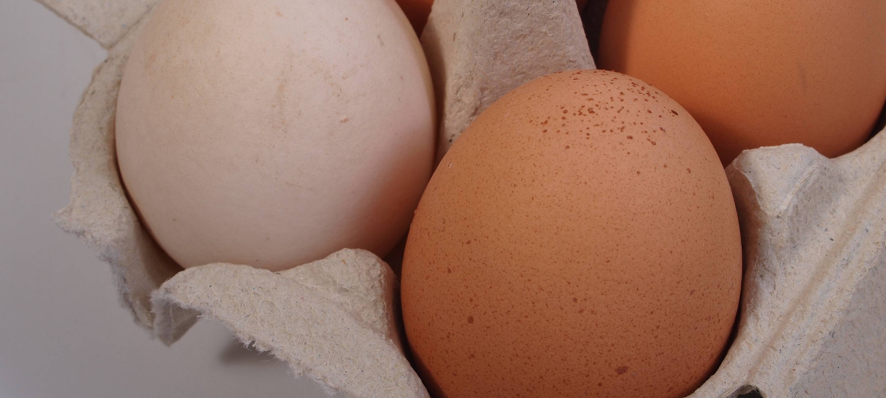 Tafeln im RSG-Land haben geöffnet