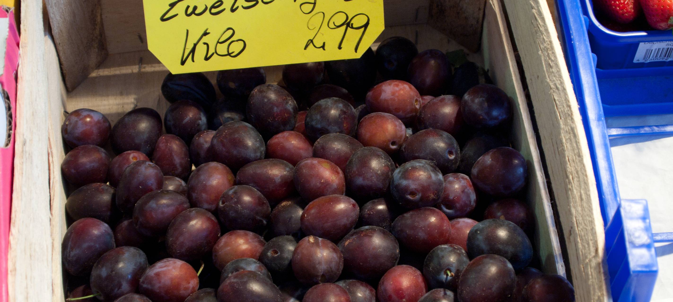 Viereckige Augen und andere Elternmythen