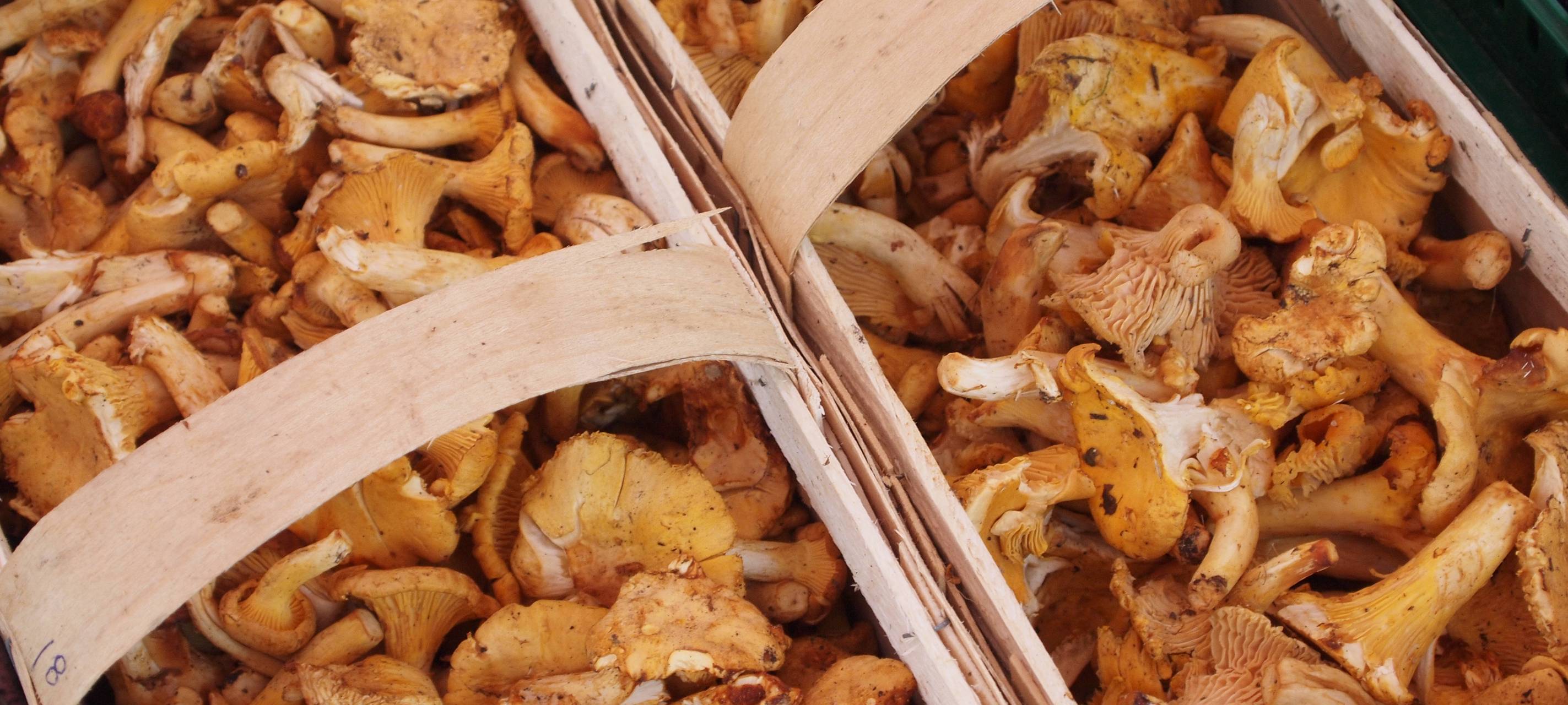 Tipps vom Mittwoch, 26.10.2022