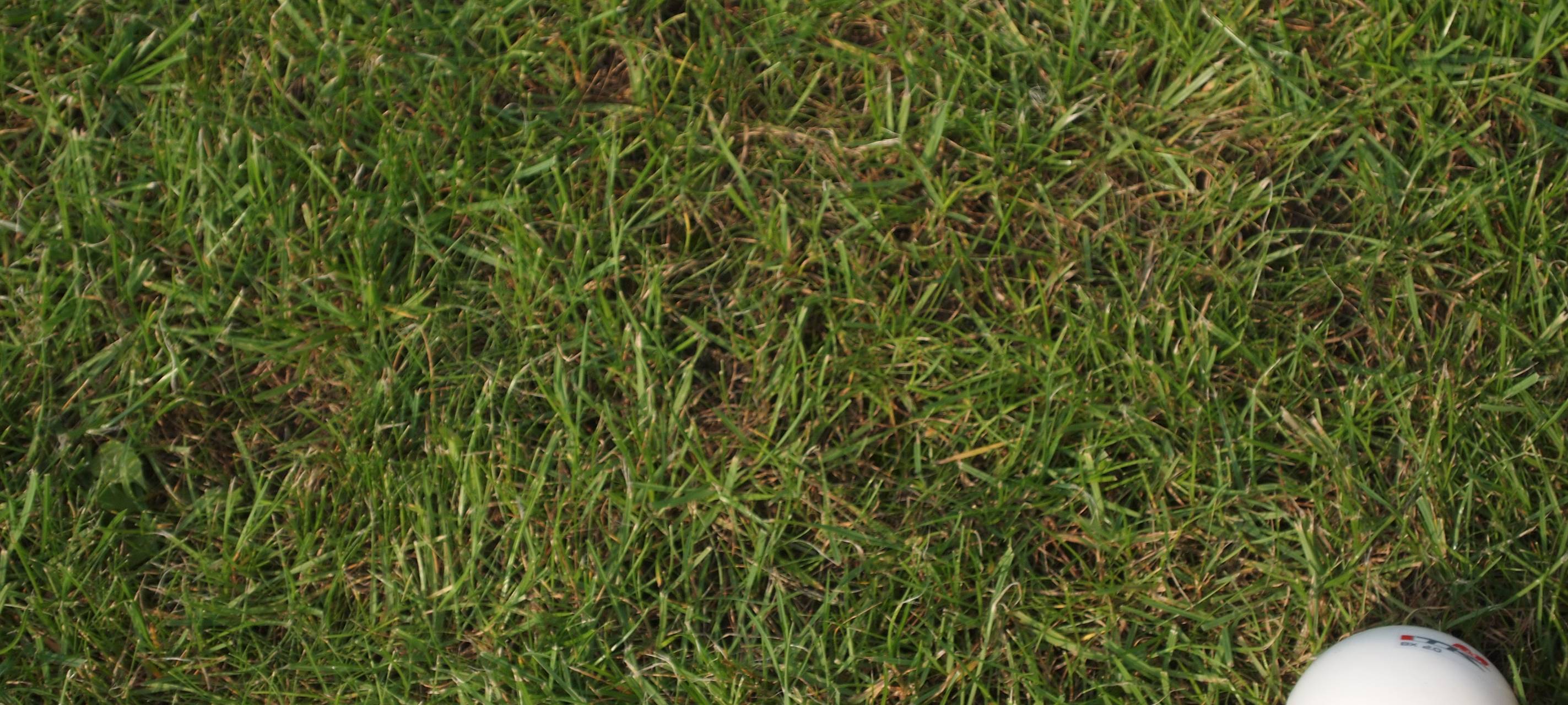 Neuer Sportplatz in Solingen Aufderhöhe?