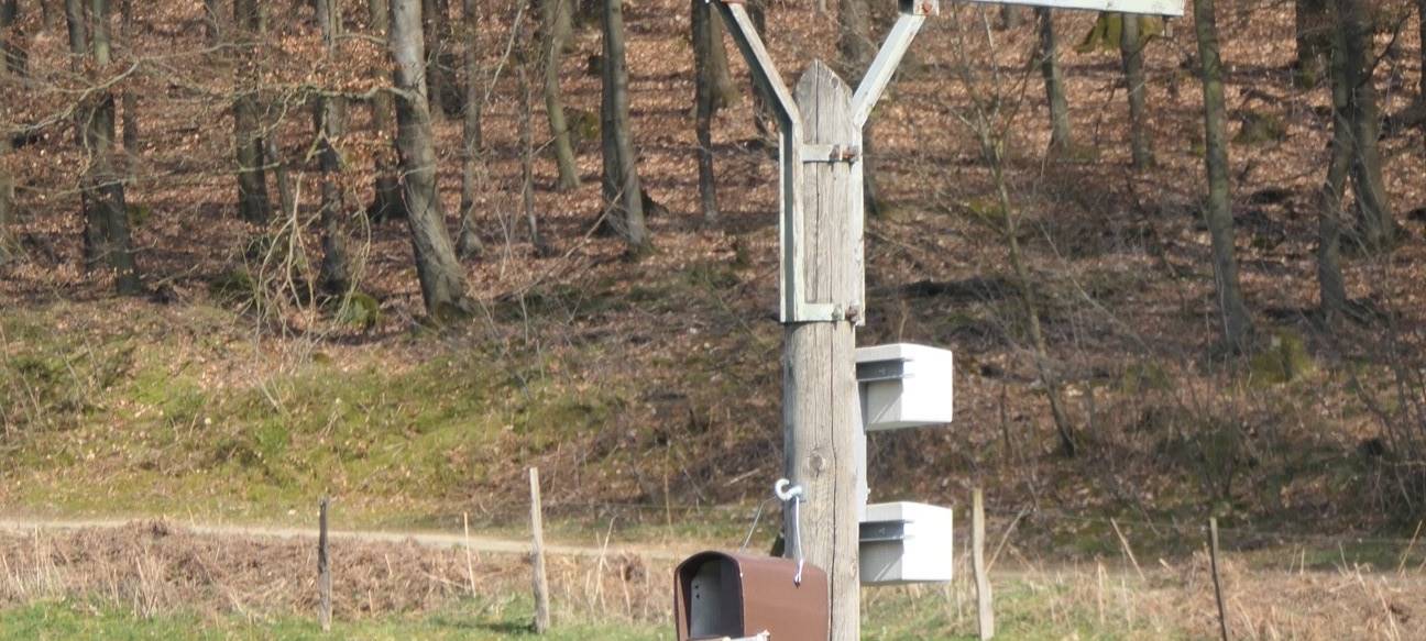 Stadt Remscheid hängt Nistkästen auf