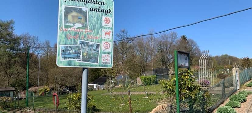 Bussche-Kessel-Weg könnte Kleingartenanlage bleiben