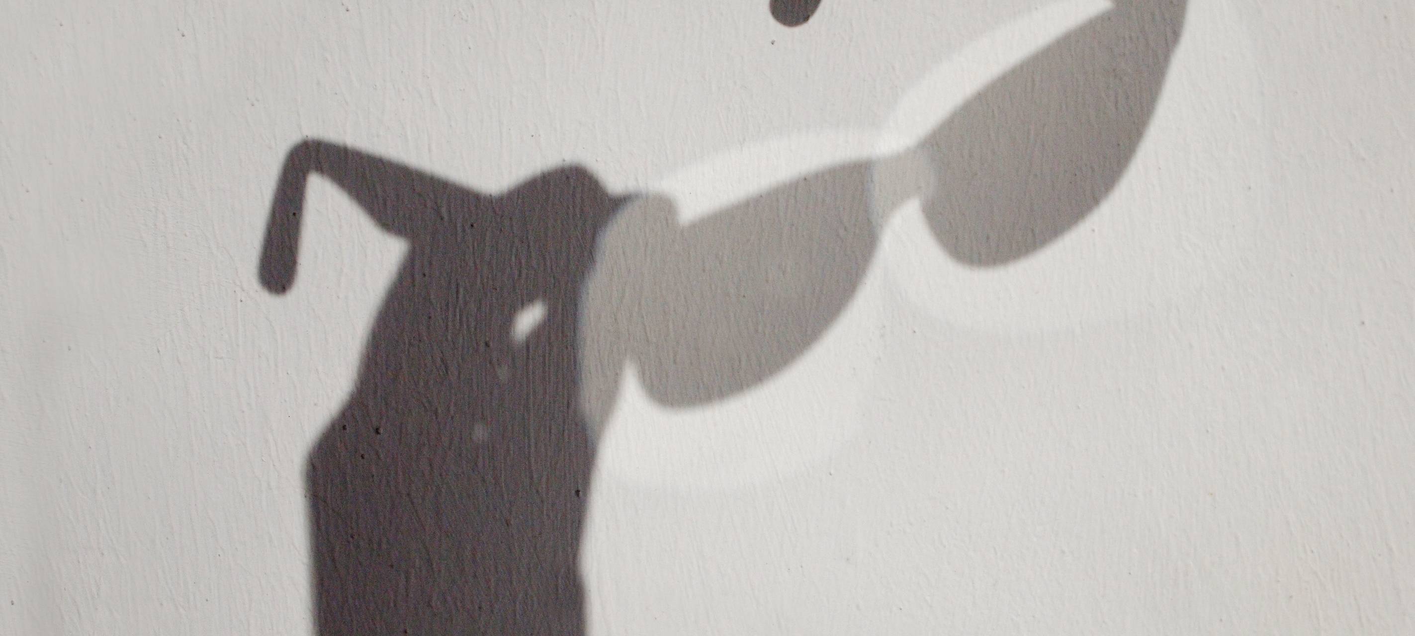 Brille in Solingen verloren