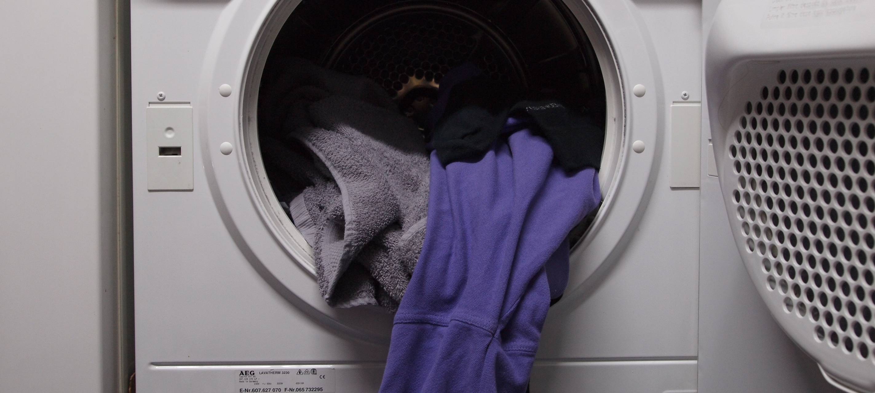 Zuschuss für sparsame E-Geräte