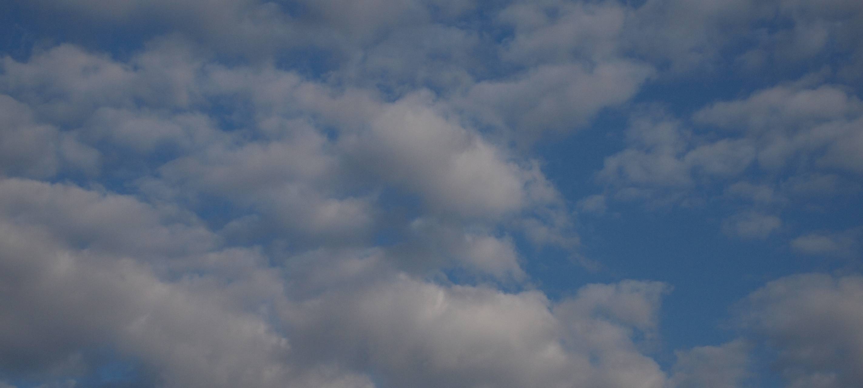 Zugvögel ziehen am RSG-Land vorbei