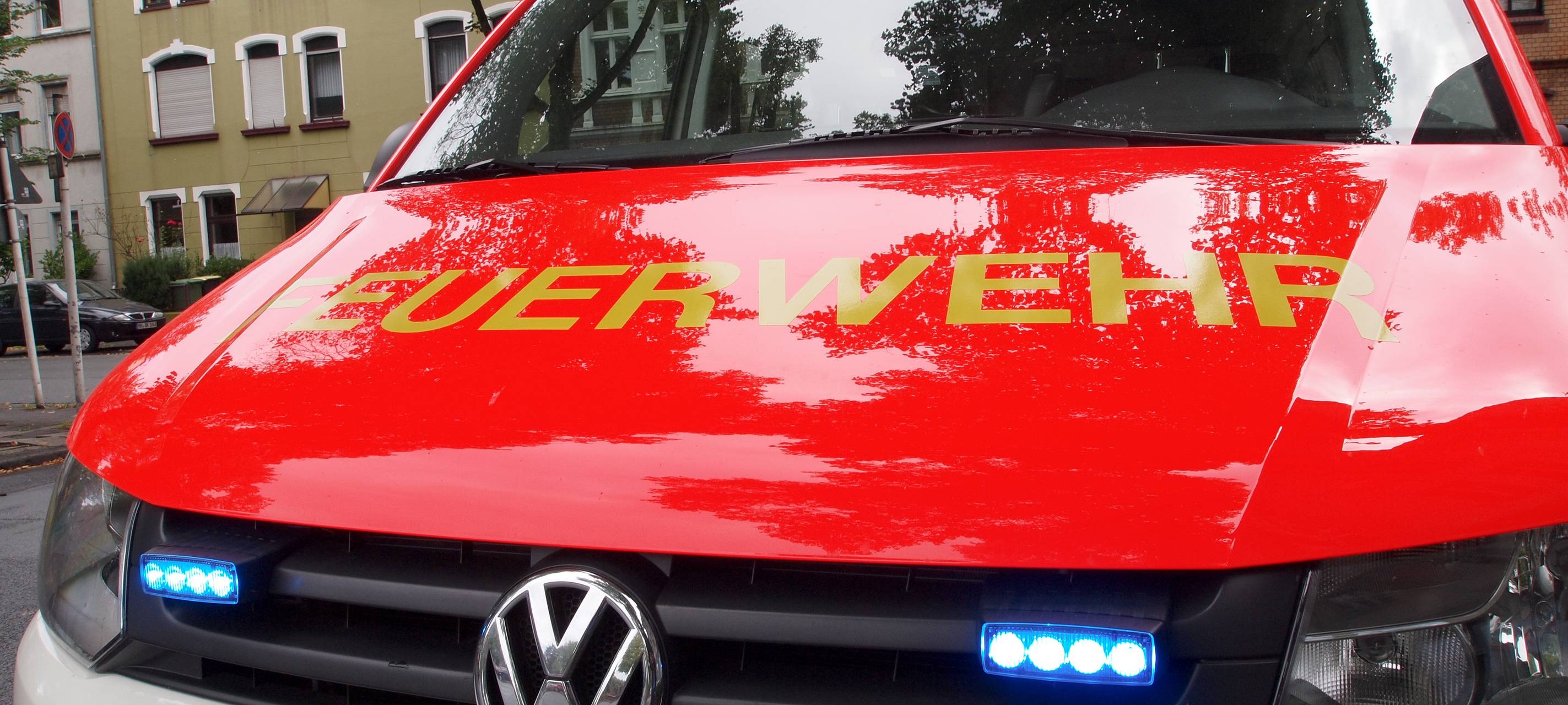 Wiesenbrand am Kohlsberg