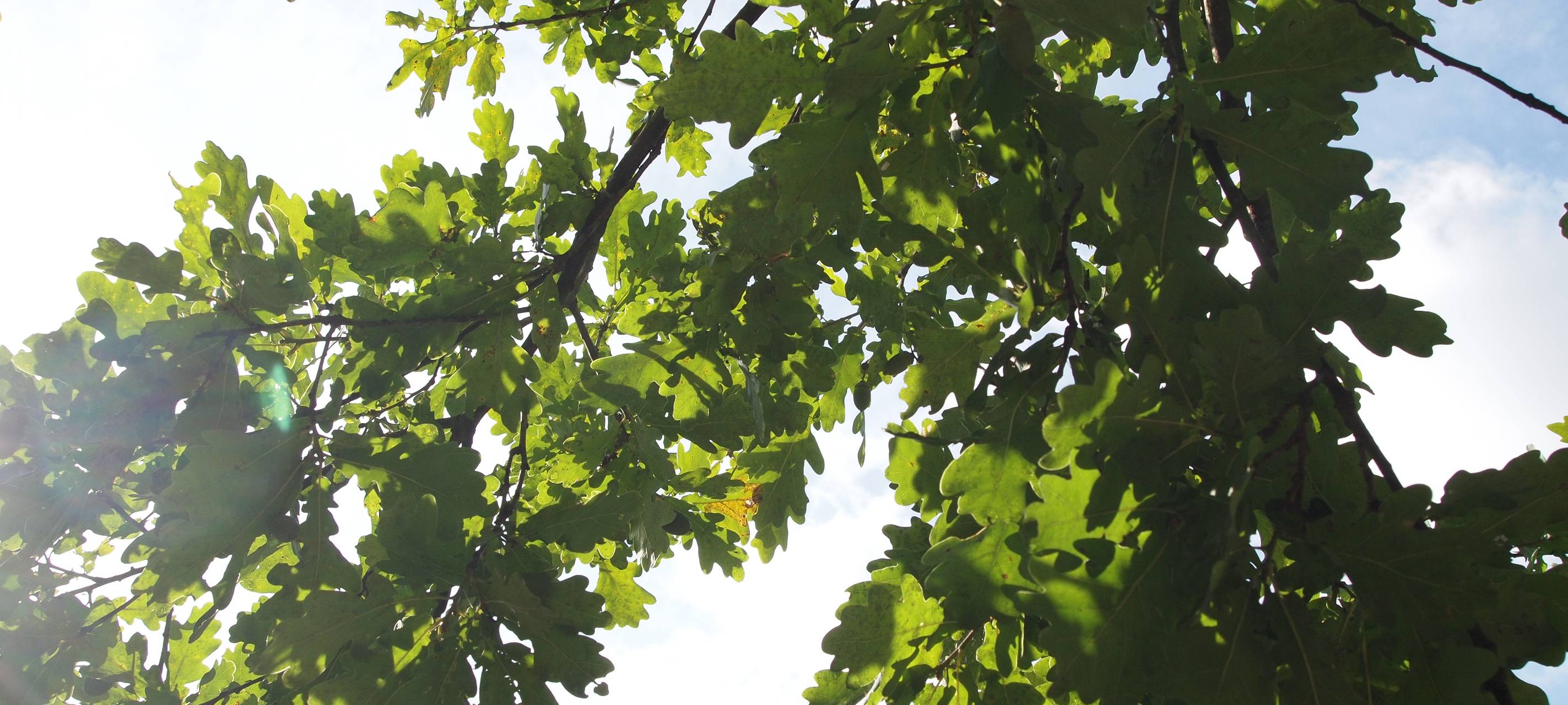 Klimabotschafter zu Besuch
