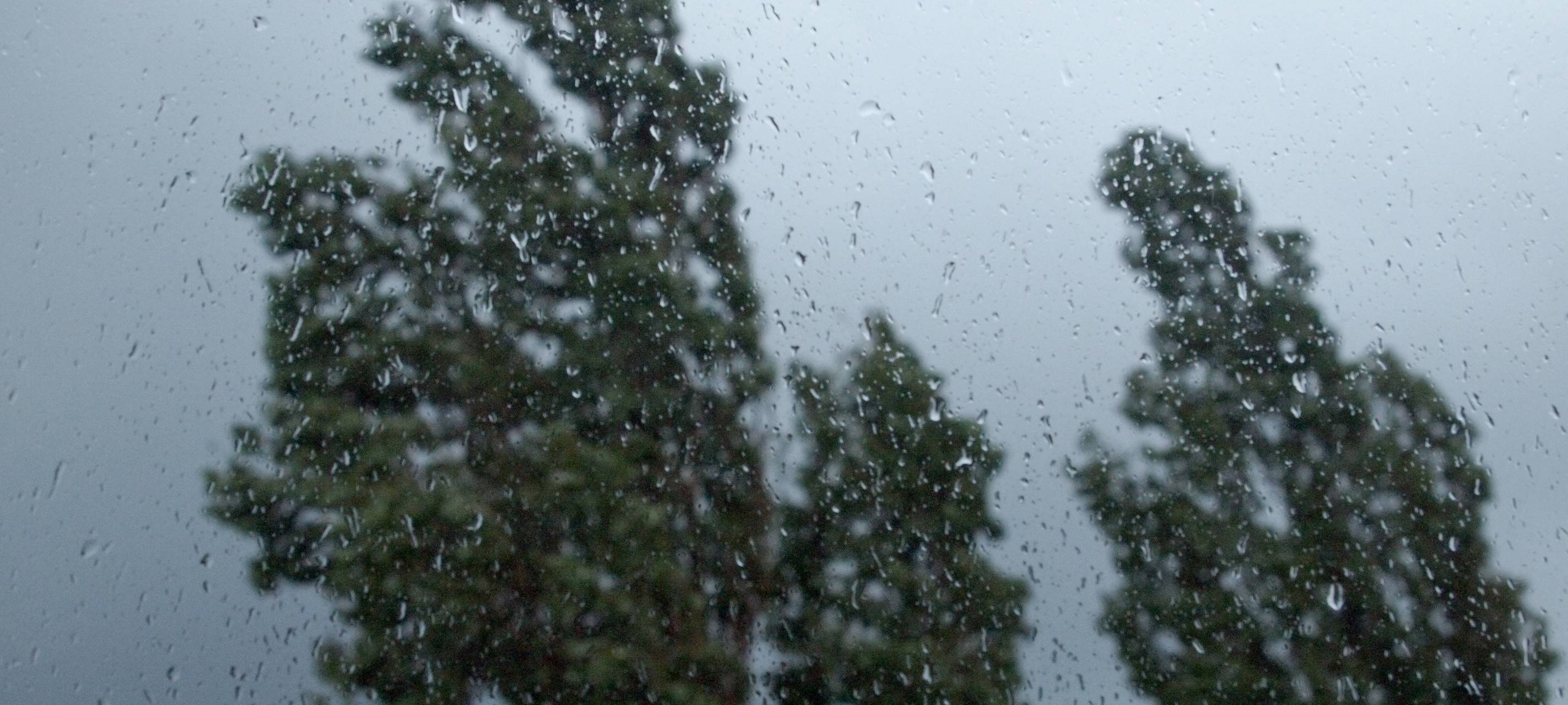 Herbst: Fußgänger müssen sich sichtbar machen