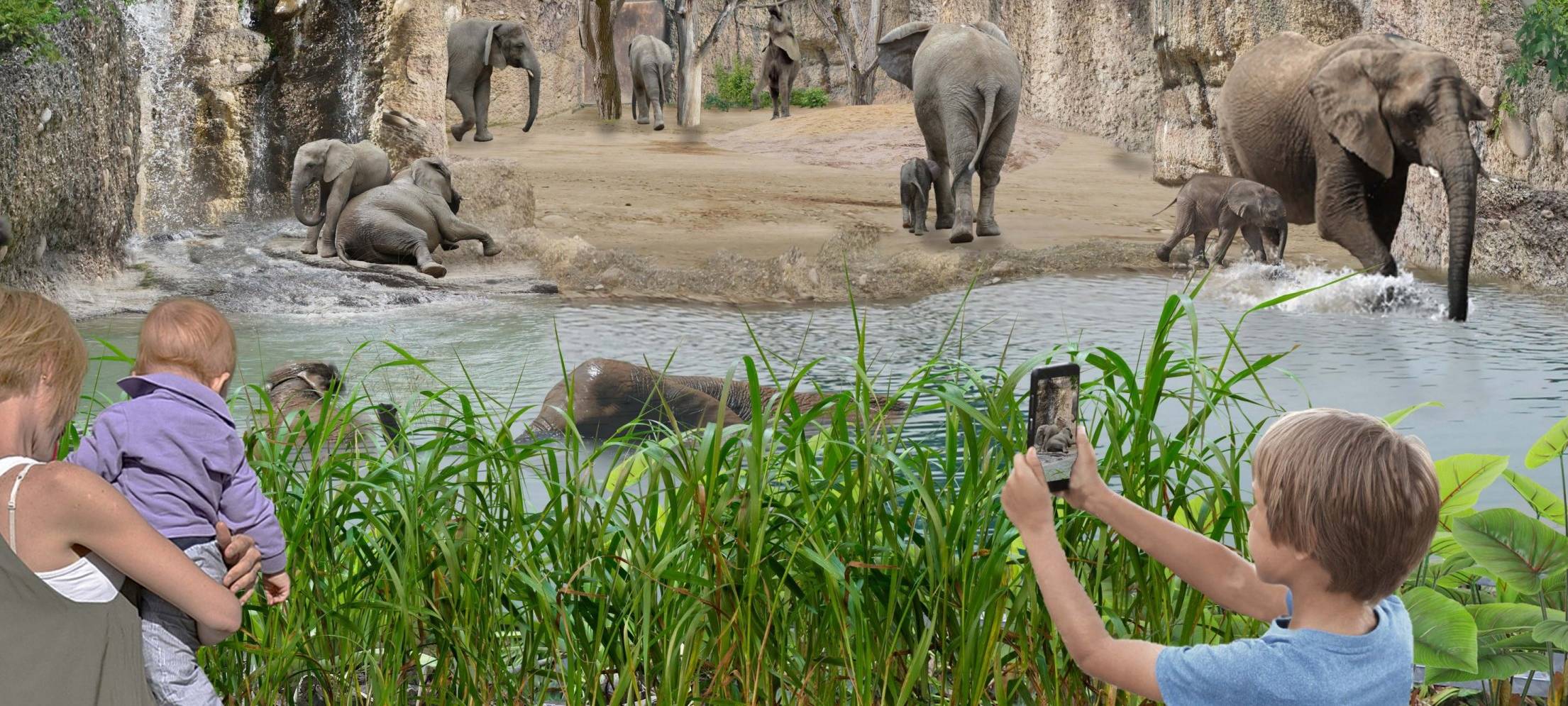 Zoo stelt 10-Jahres-Plan vor