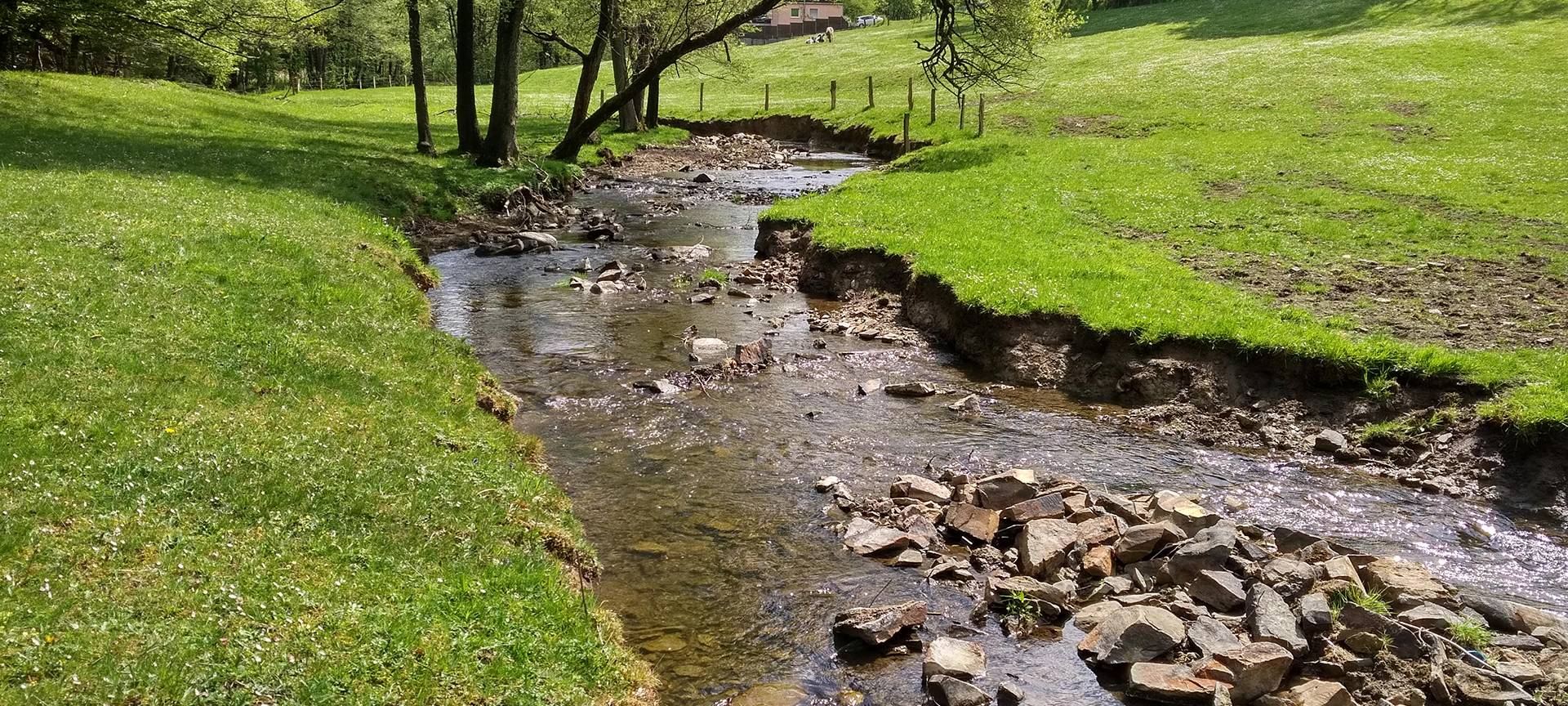 Das Wuppergebiet soll Modellregion werden