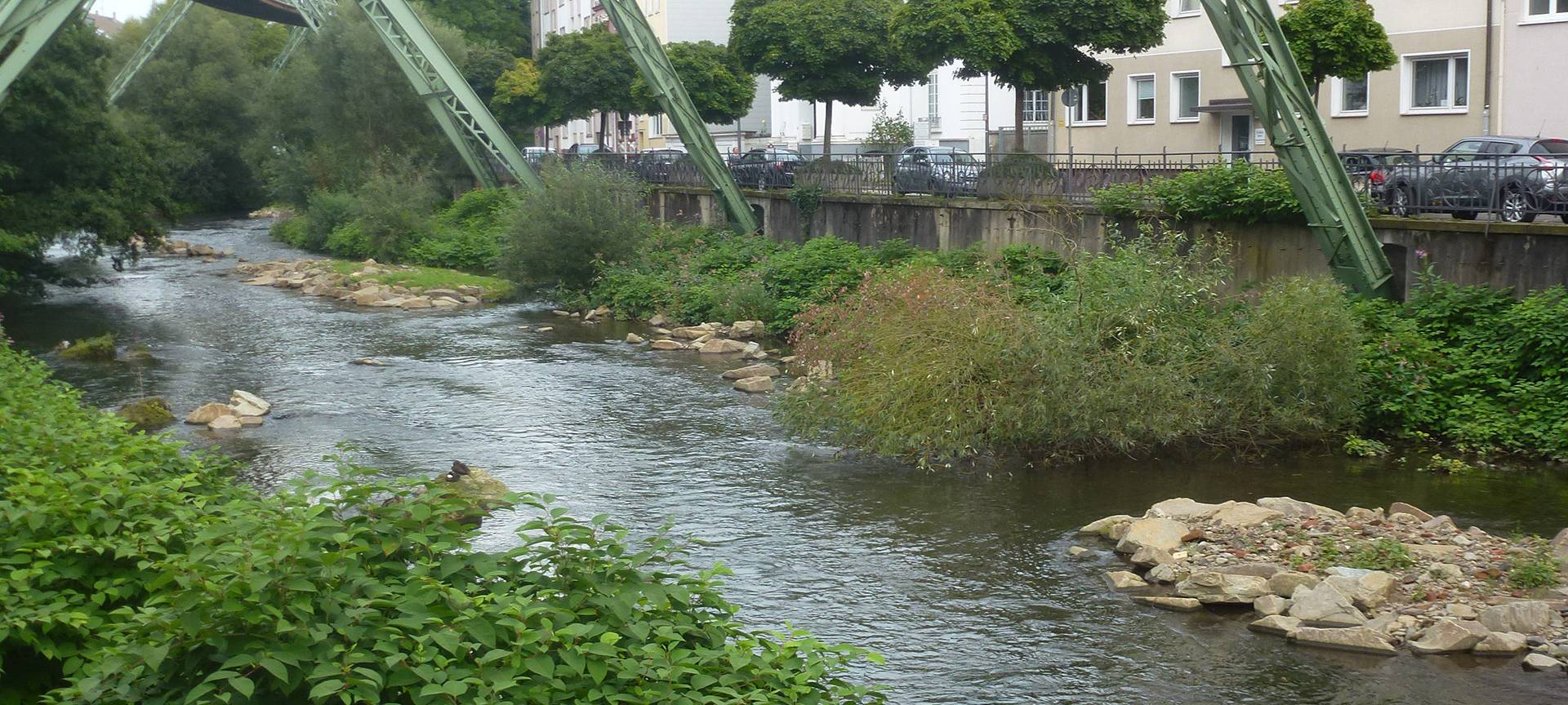 Aufräumaktion am Wupperufer zwischen Müngsten und Unterburg
