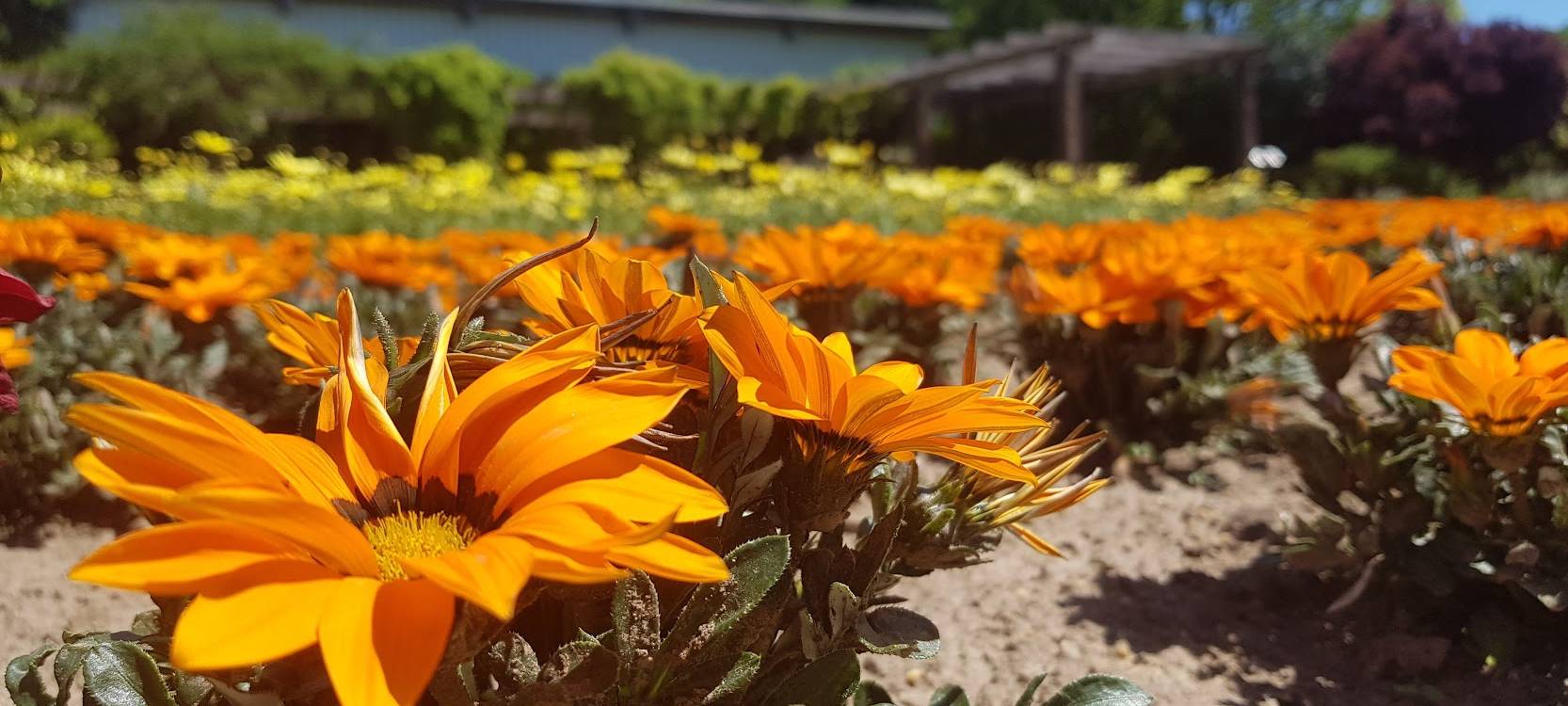 Tipps für das Wochenende vom 11. - 13. Juli