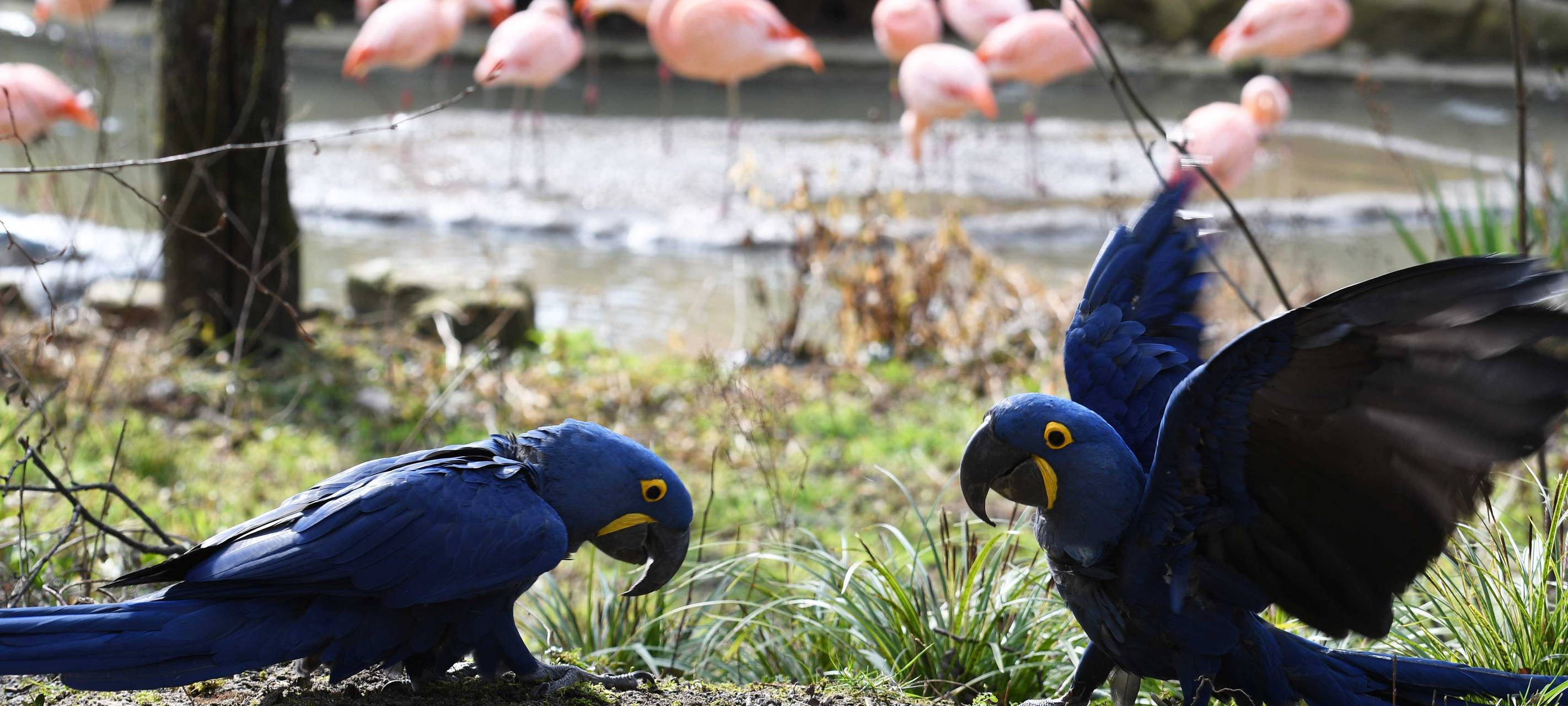 Tipps für Montag, den 8. Mai