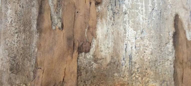 Hilfe für Hochwasser-Opfer: Hotline, Spendenkonto, Sammelstellen