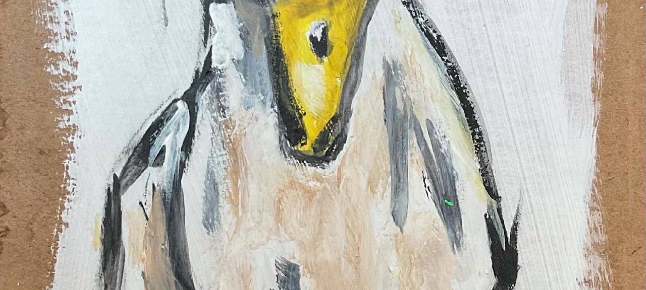 Hilfe für Hochwasser-Opfer: Hotline, Spendenkonto, Sammelstellen