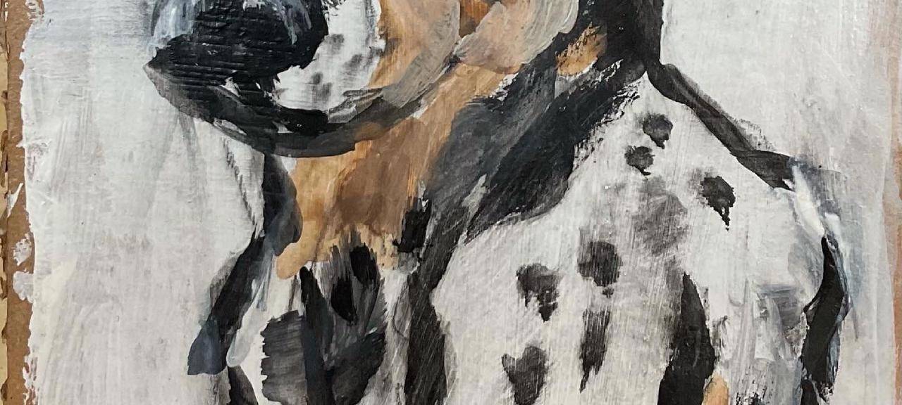 Hilfe für Hochwasser-Opfer: Hotline, Spendenkonto, Sammelstellen