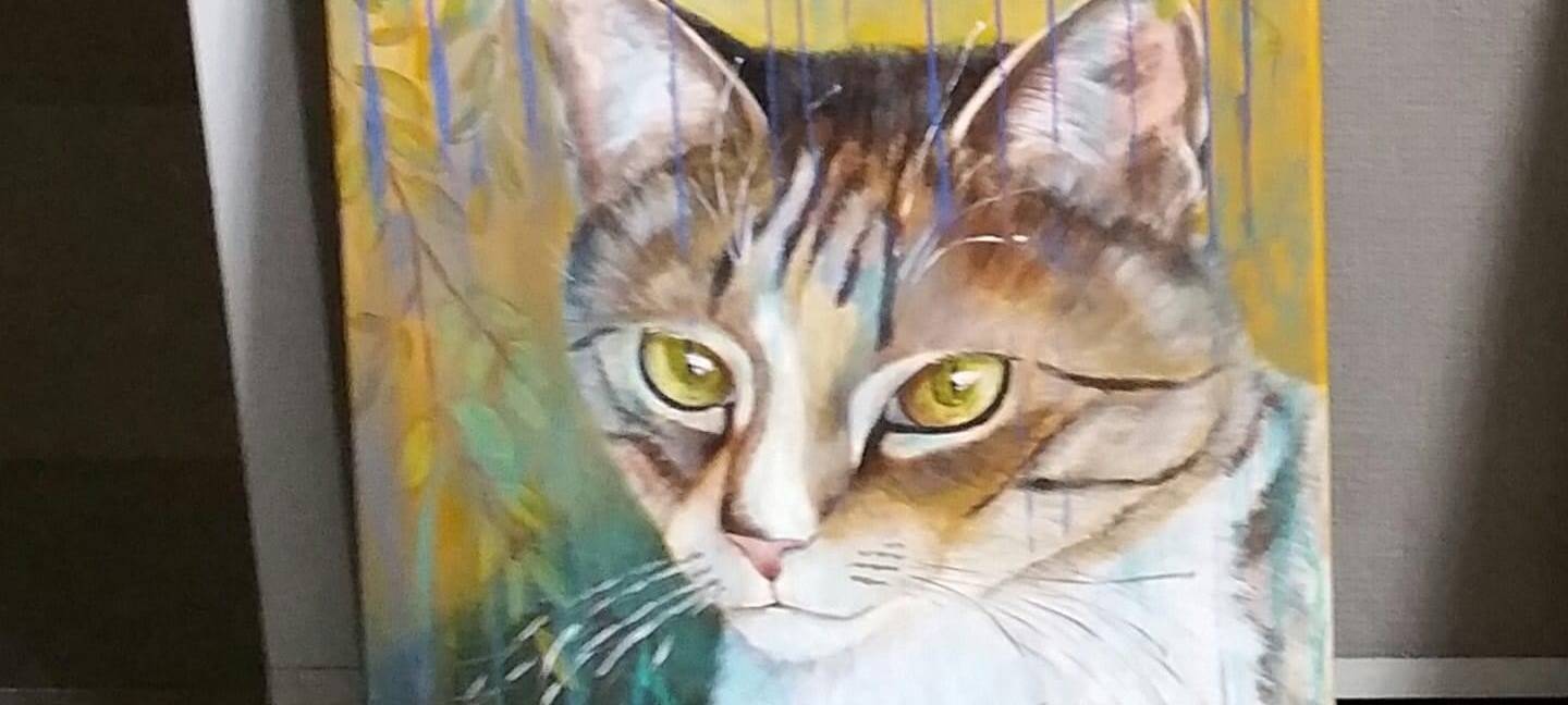 Hilfe für Hochwasser-Opfer: Hotline, Spendenkonto, Sammelstellen