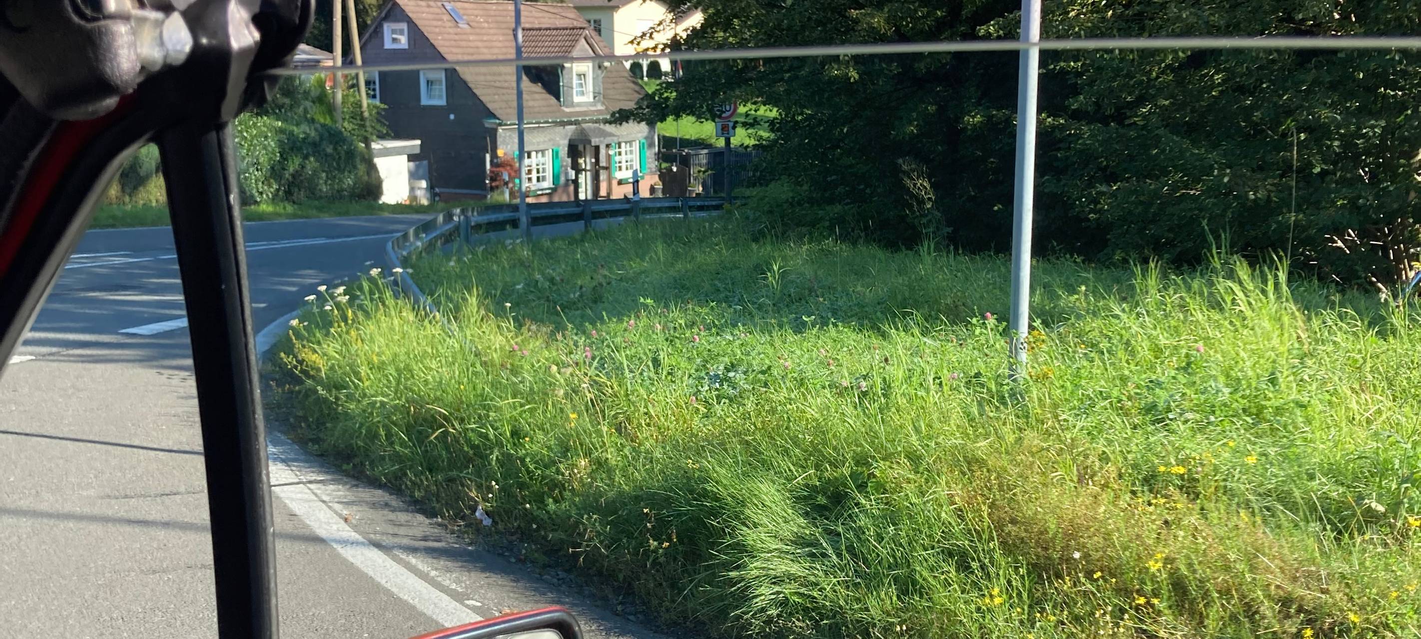 Grünschnitt an L 409