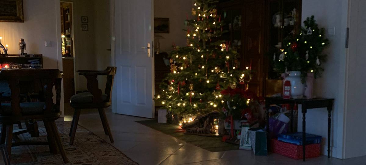 Tipps für die Woche vom 22. - 28. Dezember