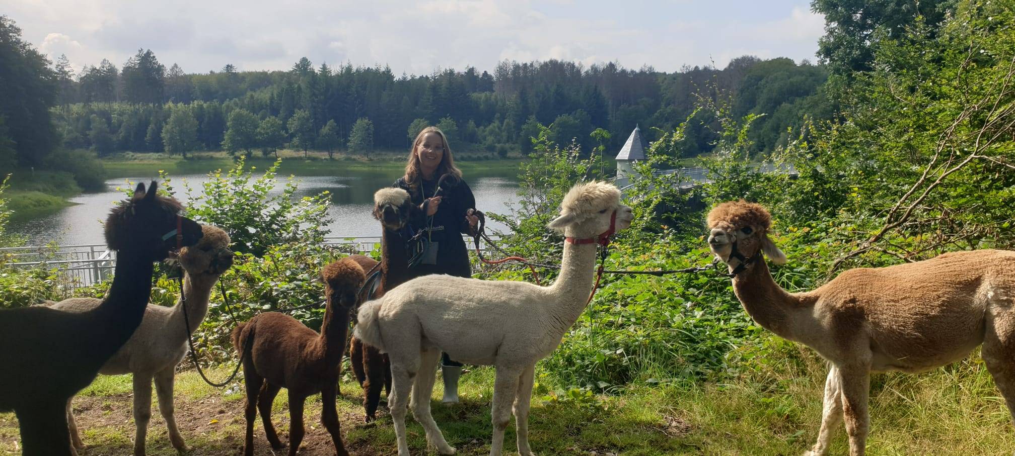 Alpaka Ranch in Remscheid