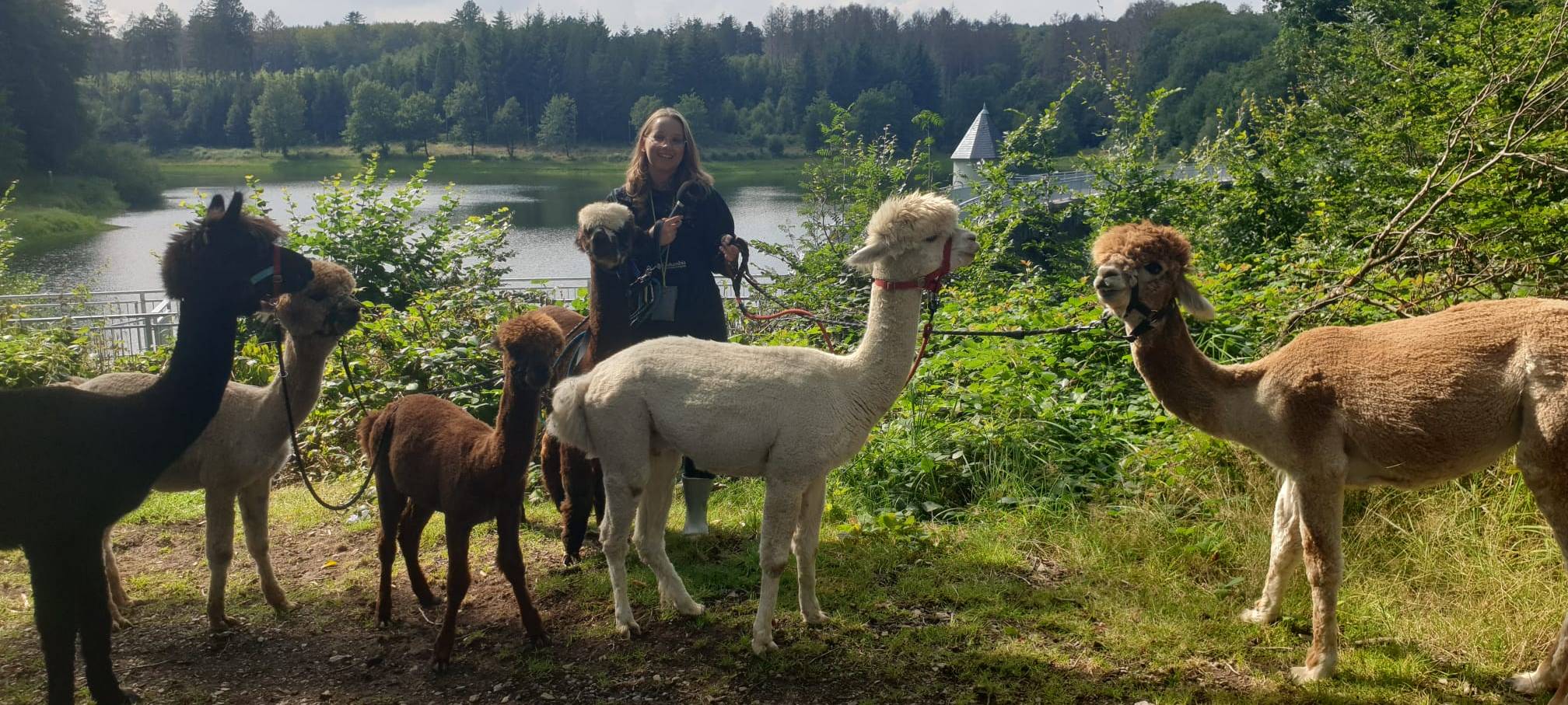 Alpaka Ranch in Remscheid