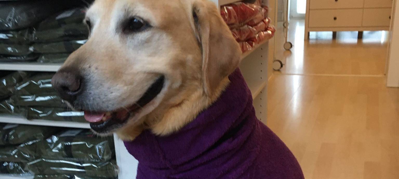 Merlin hat jetzt einen eigenen Bademantel