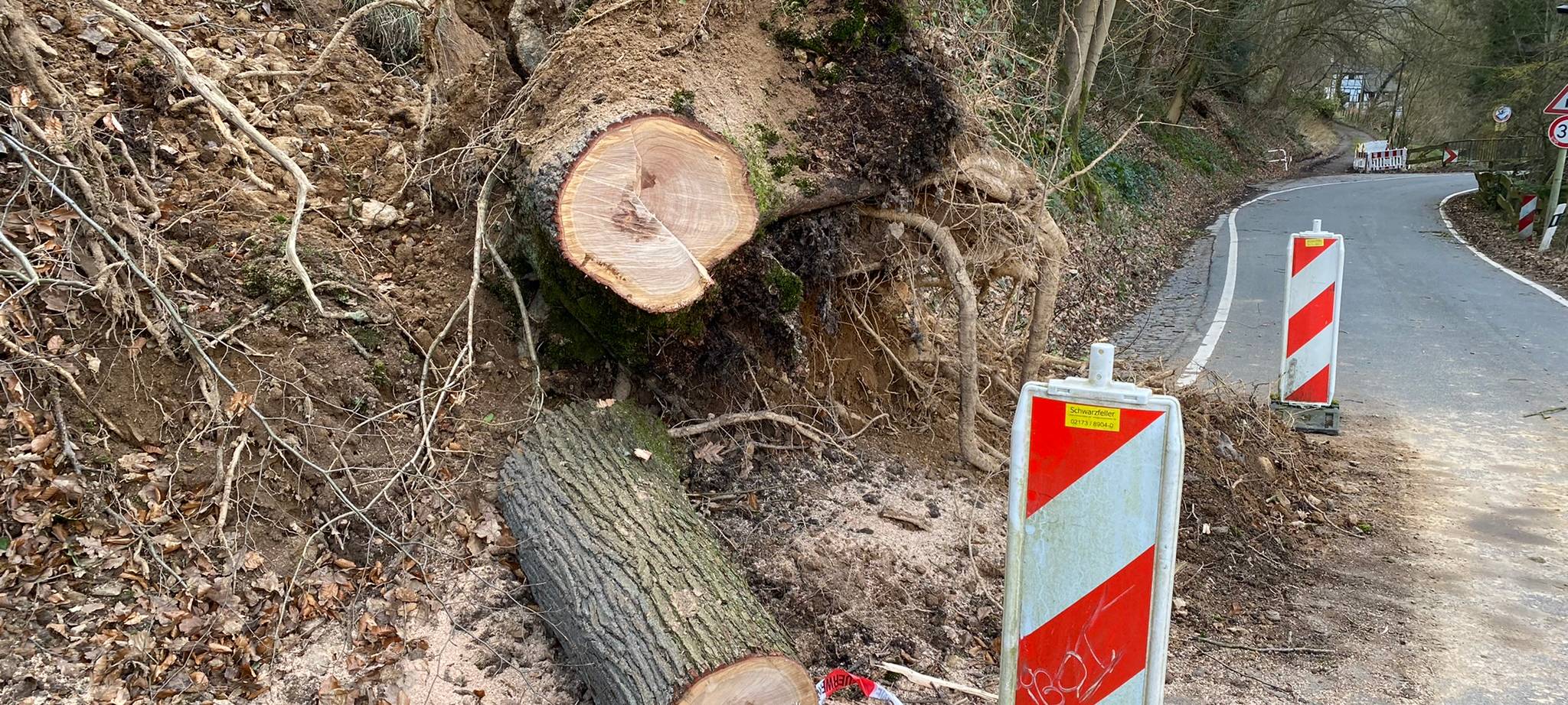Starker Wind sorgt für Feuerwehr-Einsätze