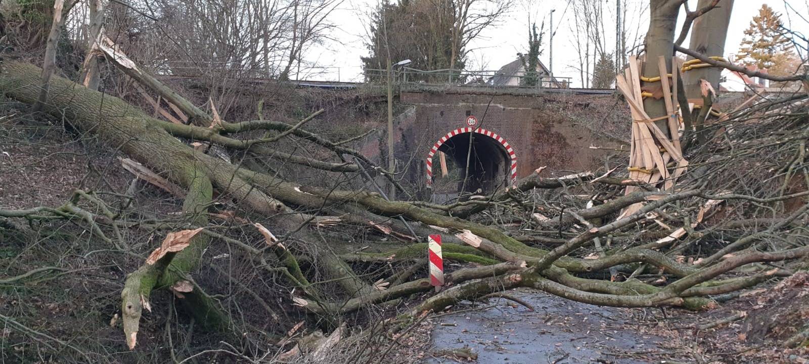 Nach dem Sturmtief: Über 280 Feuerwehr-Einsätze im RSG-Land