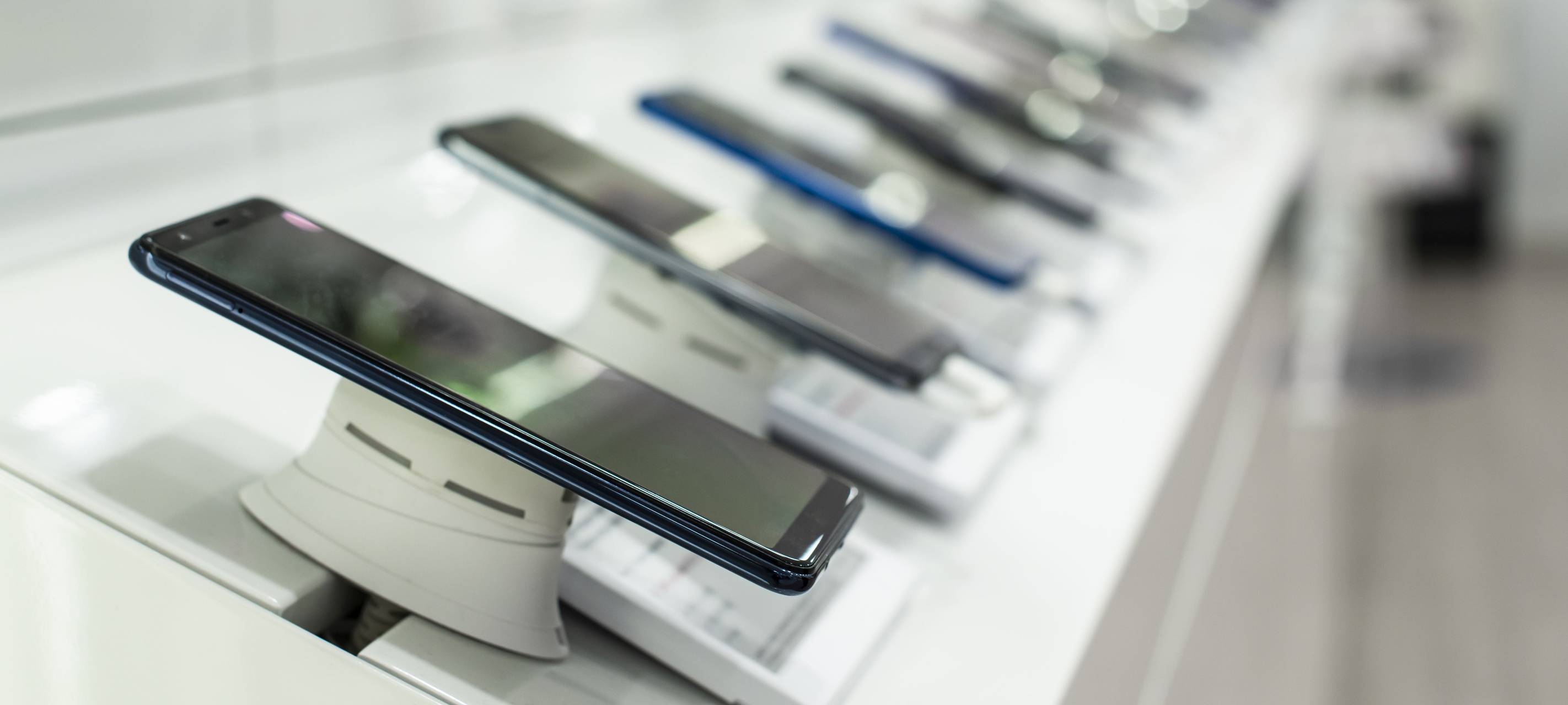 Vorträge zum Weltverbrauchertag