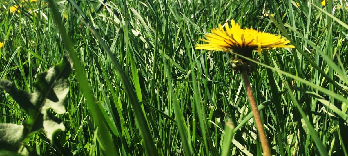 Unsere Zukunft - Leben mit dem Klimawandel: Der Landwirt
