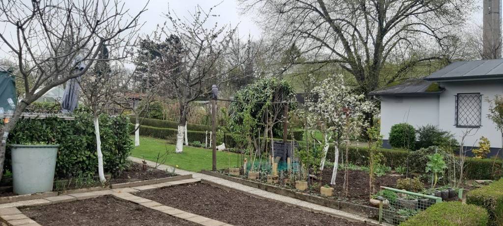 Verein der Woche: Kleingartenverein Germanenstraße