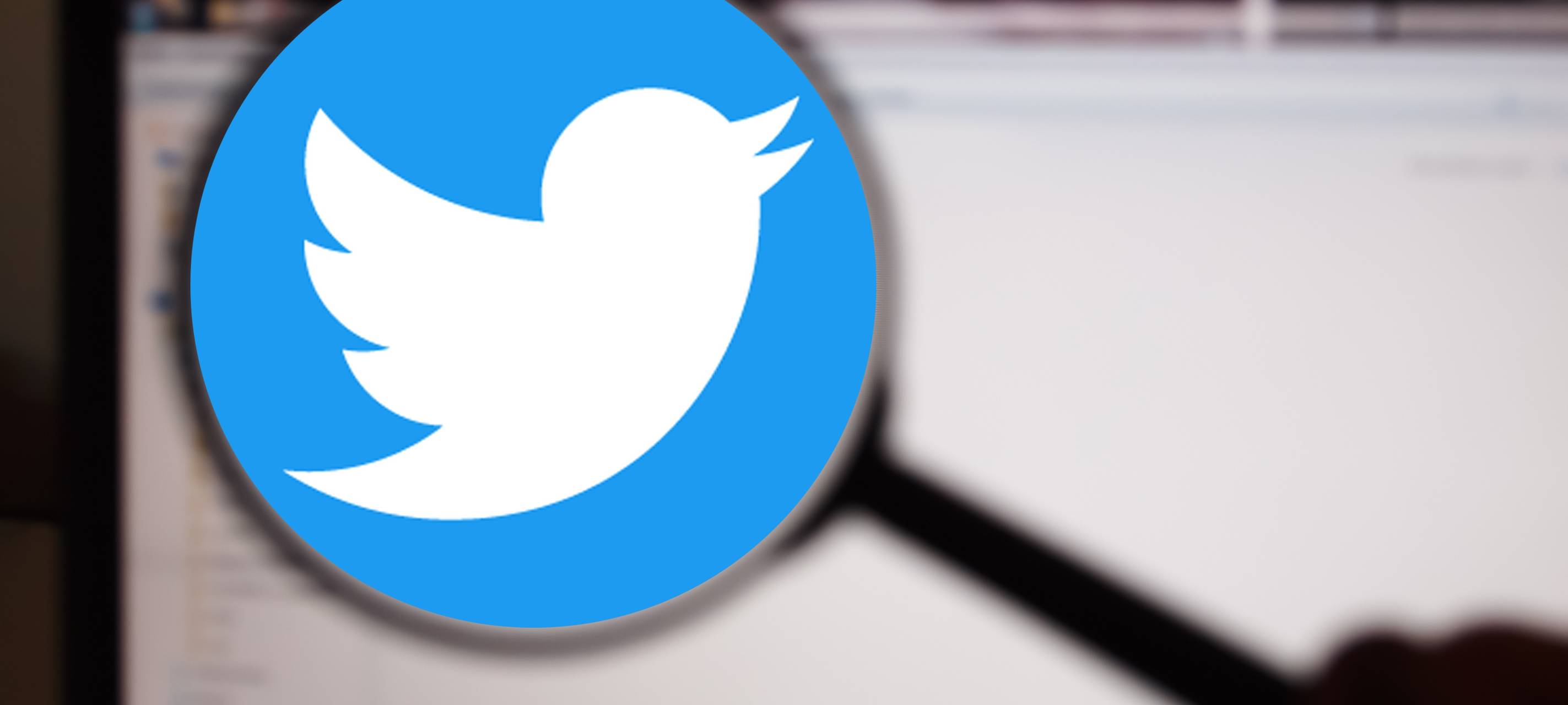 Twitter von Elon Musk gekauft - Was bedeutet das?