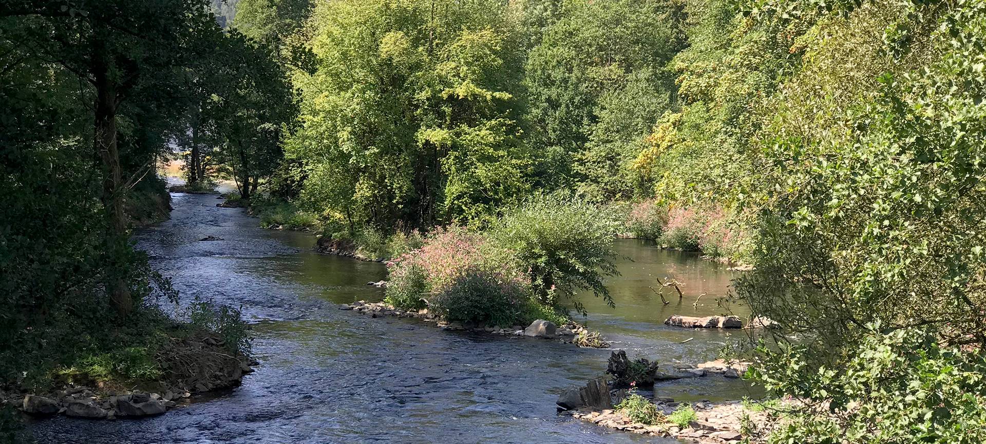 Wupperverband will neue Maßnahmen umsetzen