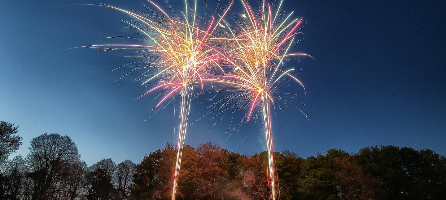 Lagerverkauf von NICO Europe startet heute