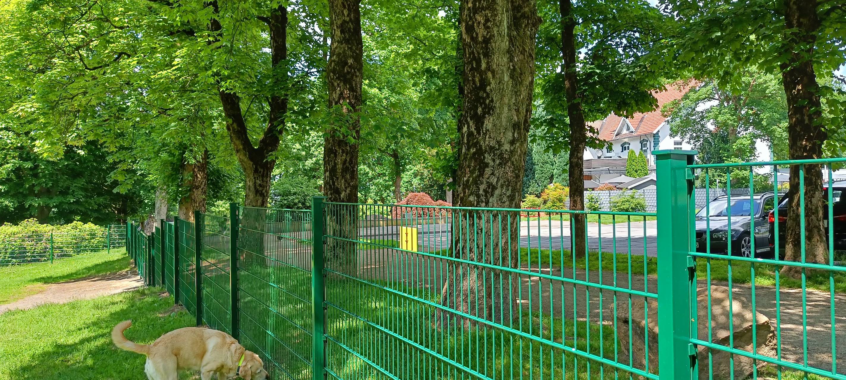 Hundewiese am Remscheider Stadtpark eingezäunt
