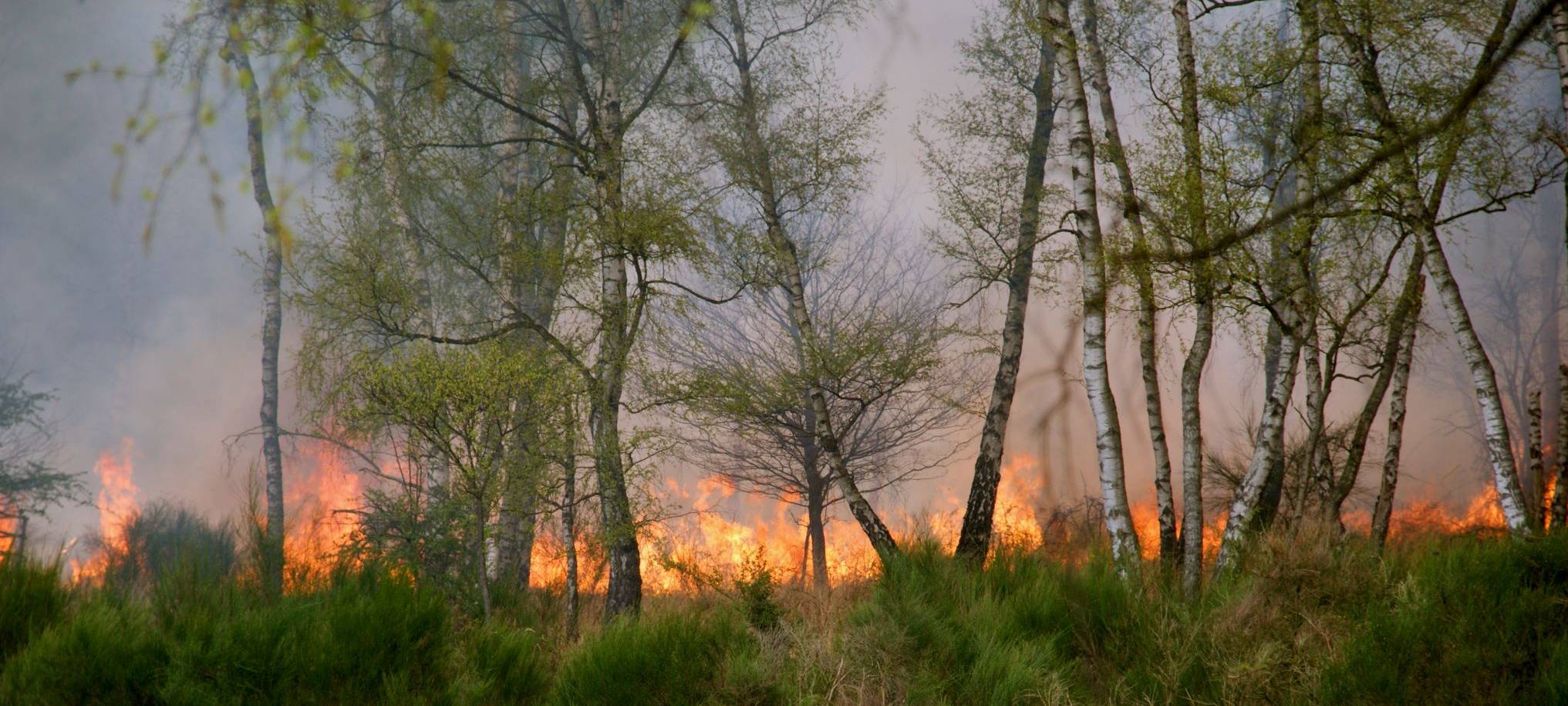 Ende der trockenen Böden auch in Remscheid und Solingen