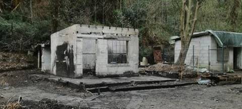 Abgebrannte Laube: Wer hilft Christine beim Neustart?