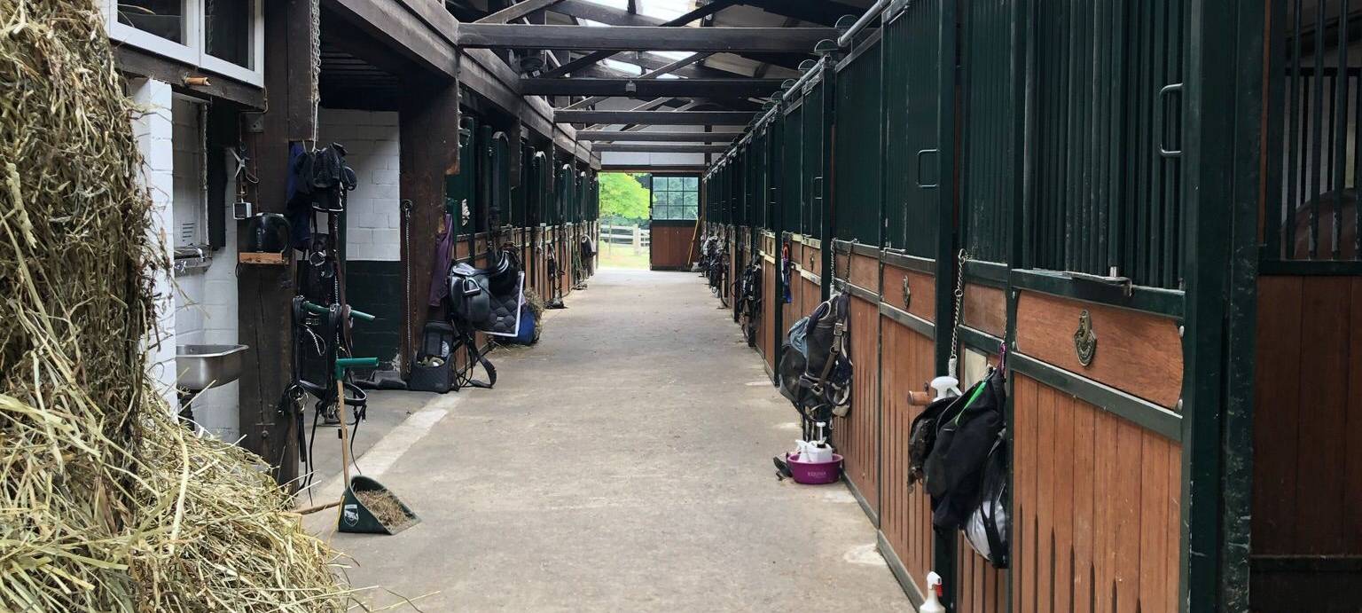 Verein der Woche: Gut Jagenberg