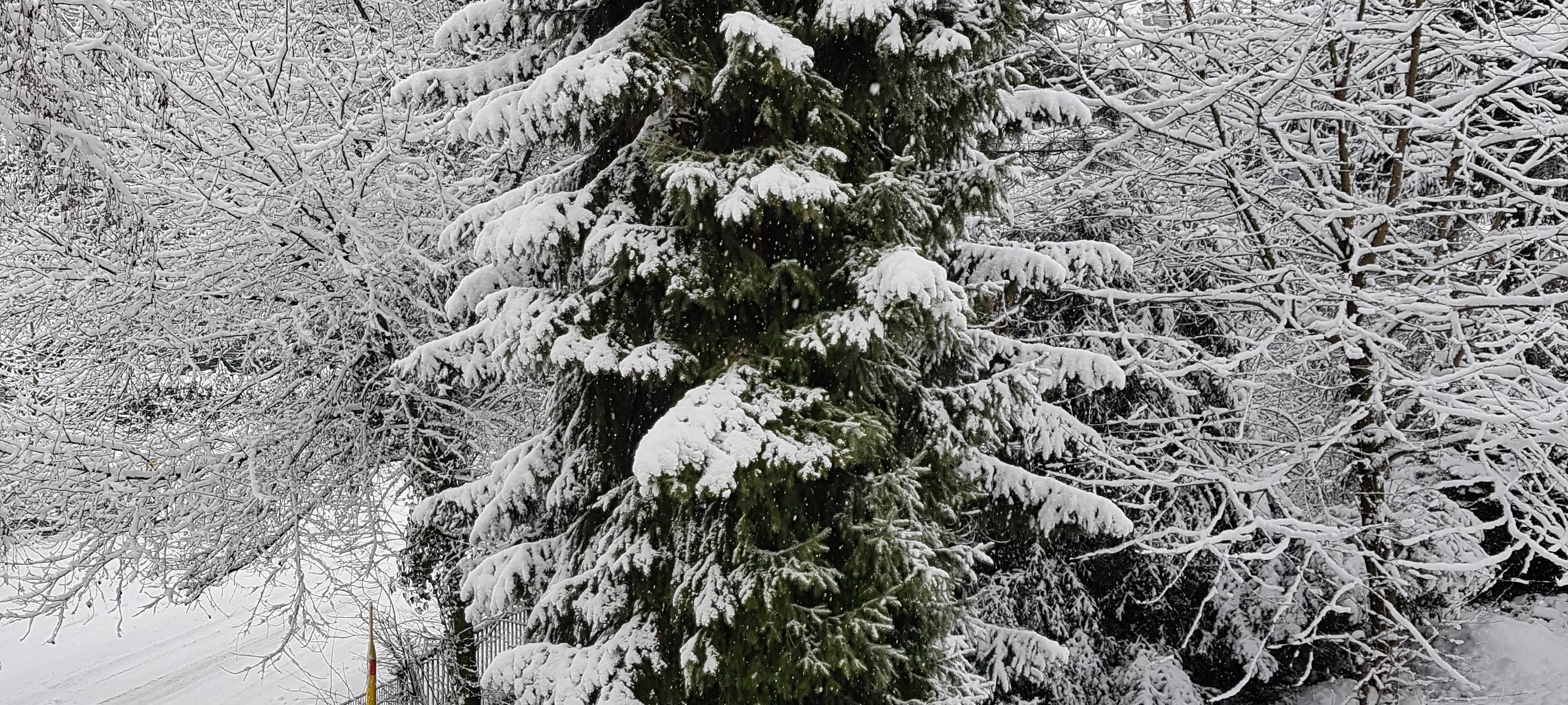 April war im Bergischen ungewöhnlich kalt