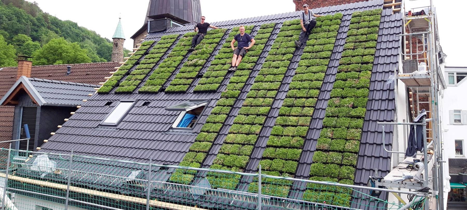 In Remscheid gibt es Förderung für grüne Dächer