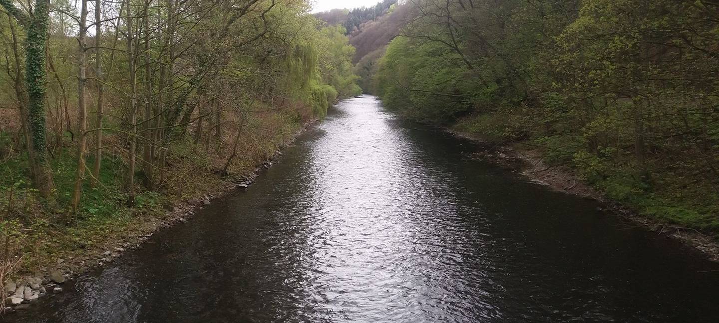 Wupperschau: Bezirksregierung untersucht heute den Zustand der Wupper