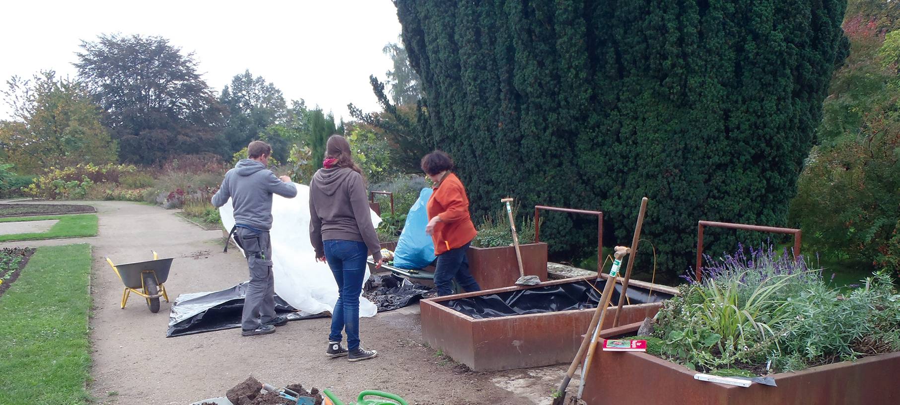 Verein der Woche: Stiftung Botanischer Garten Solingen e.V.