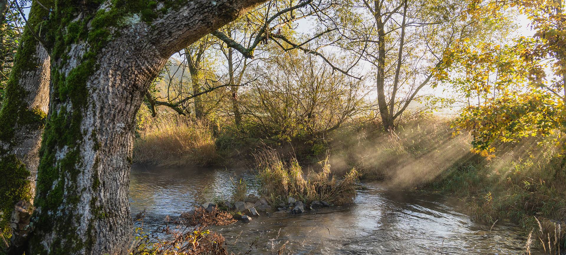 Unsere Tipps für das Wochenende