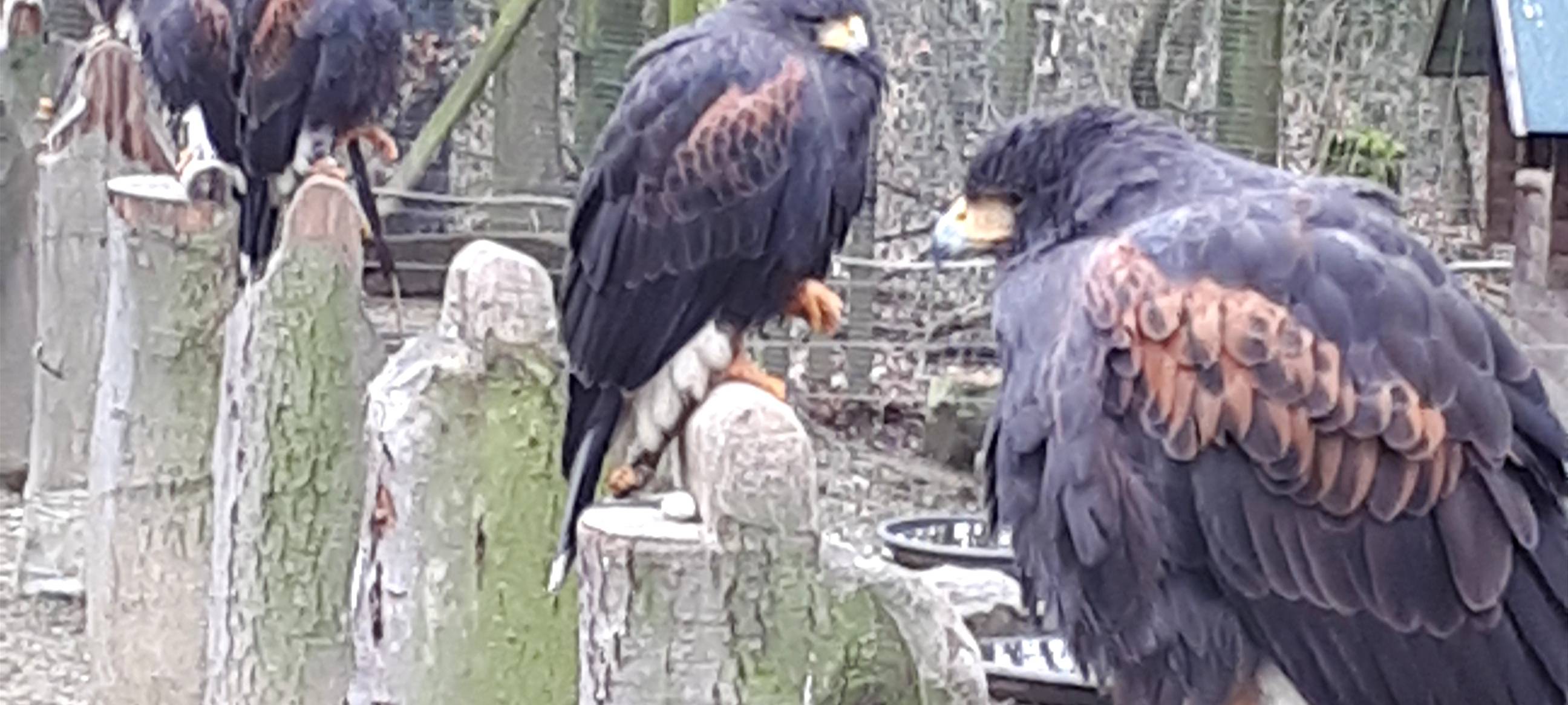 Die RSG-Tipps für Sonntag, 24.März